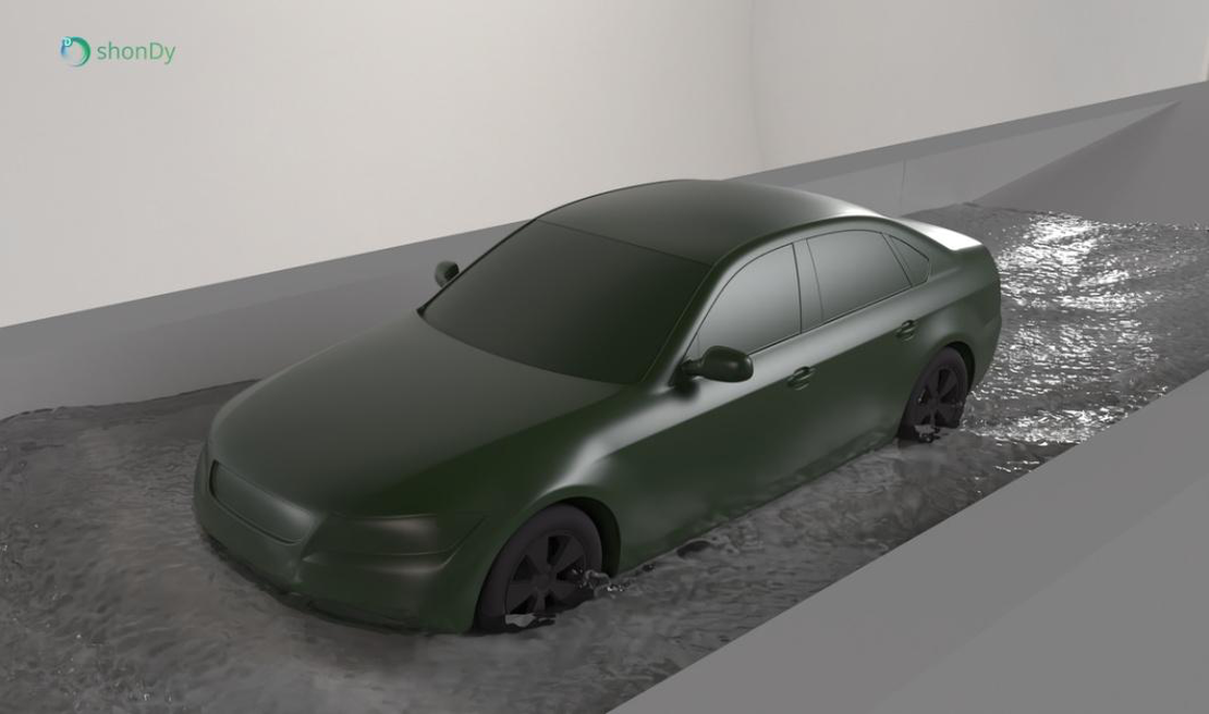 Car wading simulation with particle based CFD solution shonDy