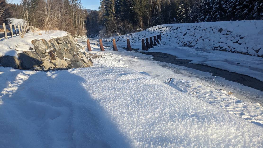 Image the case is based on